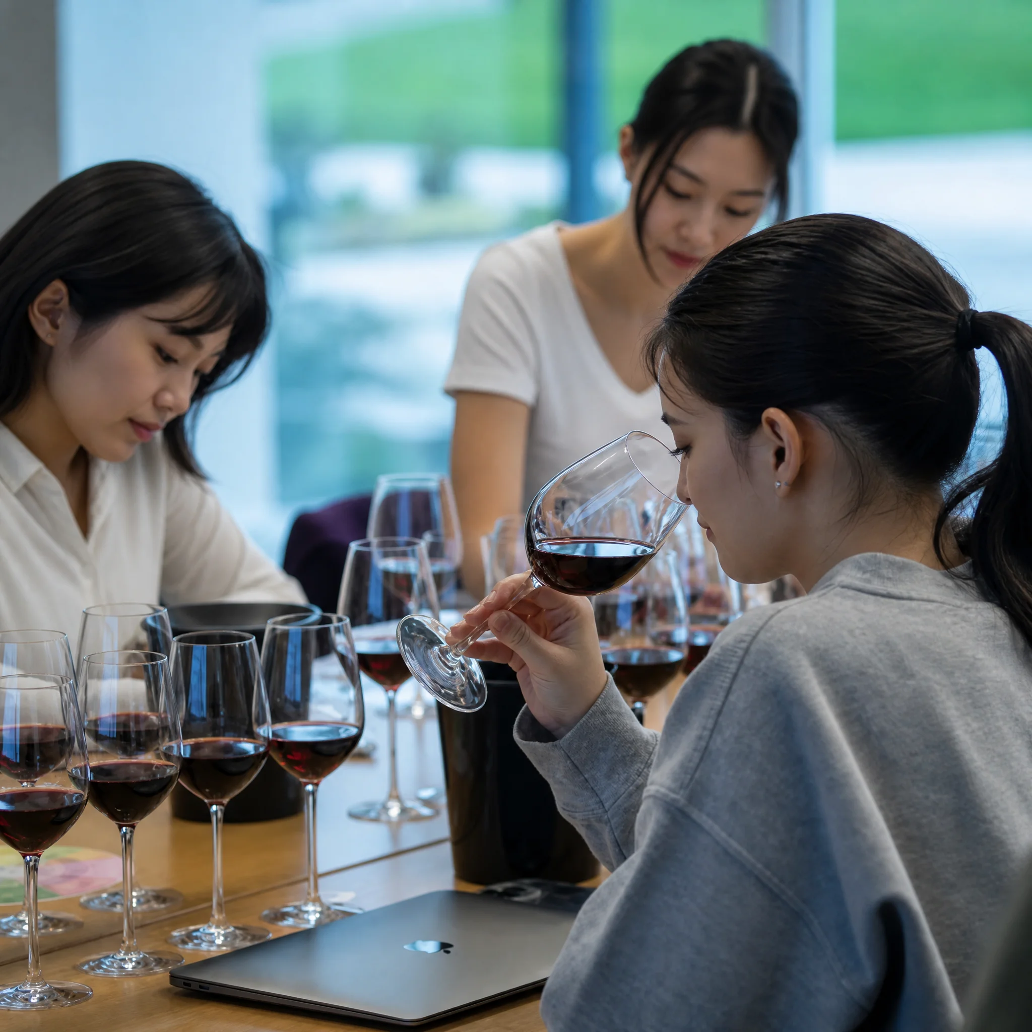 WSET Level 1 Award in Wines | WS1Y2606 | Vinifera